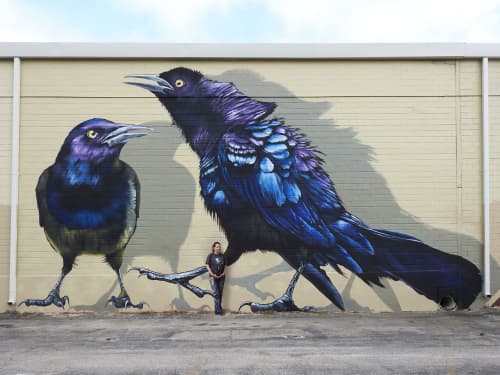 The grackles | Street Murals by Anat Ronen | FacilityRx in San Antonio