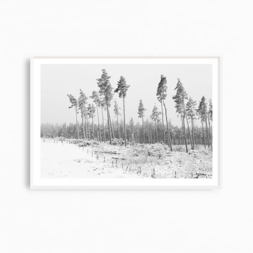 England winter landscape photography print, "Fresh Snowfall" | Photography by PappasBland. Item made of paper works with contemporary & country & farmhouse style