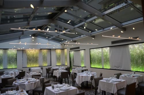 Smoon Birdie Light & Smoon Birds | Chandeliers by Beau&Bien | Restaurant Vatel Paris in Paris