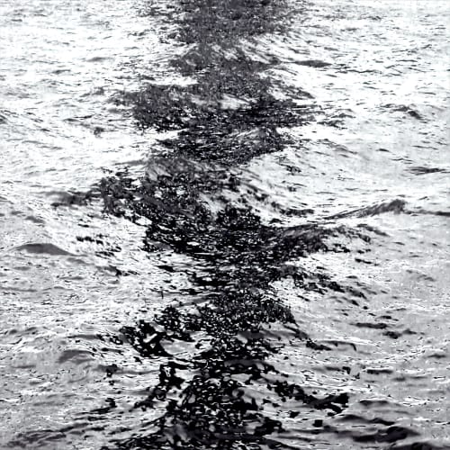 Dark Reflections | Prints by House of Bliss. Item in contemporary or coastal style