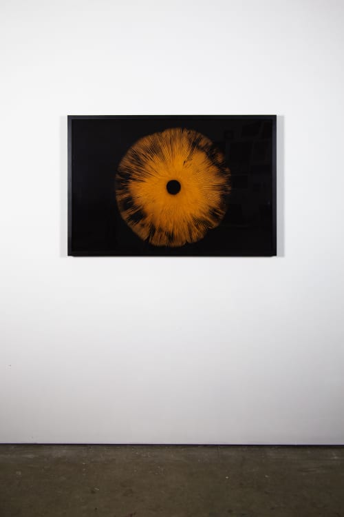 Agaricales Series | Prints by Virginia Kistler. Item composed of paper