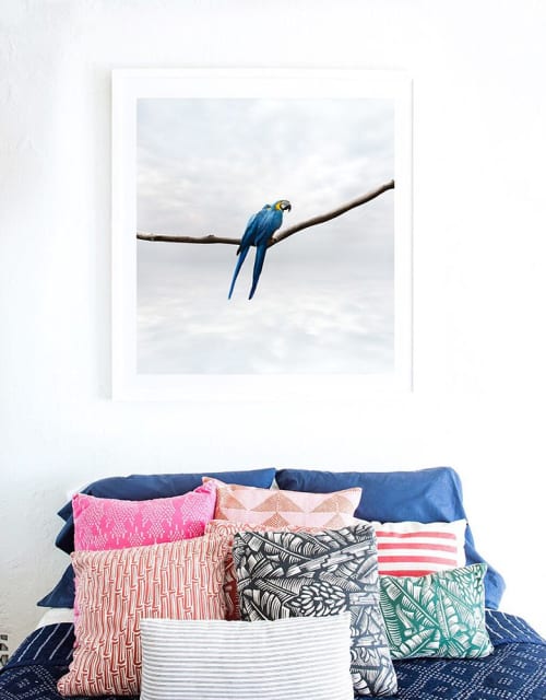 Pondering Parrots | Photography by Alice Zilberberg. Item made of paper
