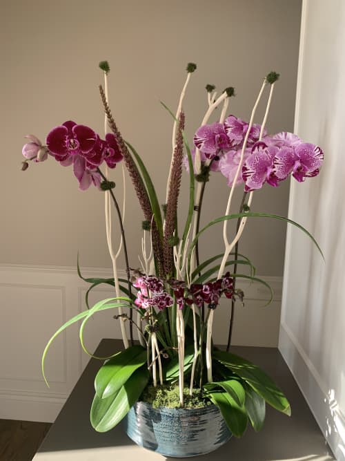 Orchid Arrangement | Floral Arrangements by Fleurina Designs. Item composed of ceramic