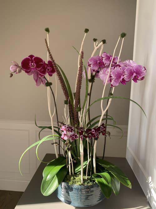 Fresh Orchid Arrangement | Floral Arrangements by Fleurina Designs. Item made of ceramic
