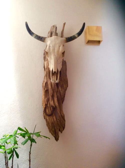 Toro (Wall Sculpture) | Wall Hangings by Jane Maroni Organic Design | Hotel Cielo Rojo in San Francisco. Item made of wood