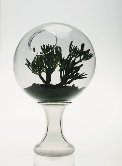 2001 A Space Terrarium | Decorative Bowl in Decorative Objects by Esque Studio. Item made of glass