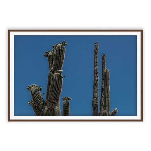 JUNO | Minimalist Wall Art | Southwest | Fine Art Print | Photography by Jess Ansik. Item made of paper compatible with minimalism and country & farmhouse style