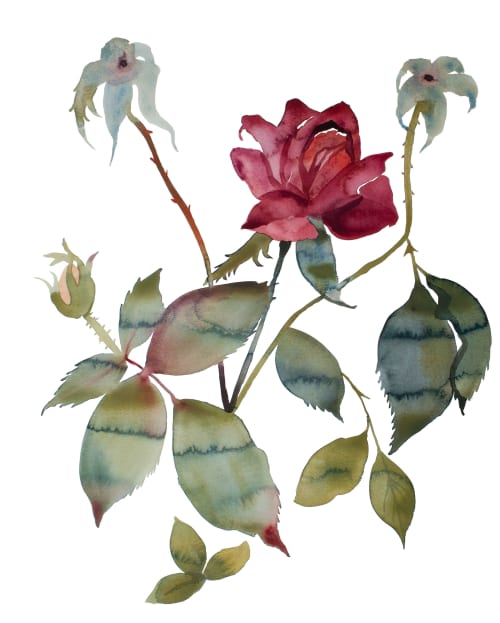 Rose Study No. 85 : Original Watercolor Painting | Paintings by Elizabeth Becker. Item made of paper compatible with boho and minimalism style