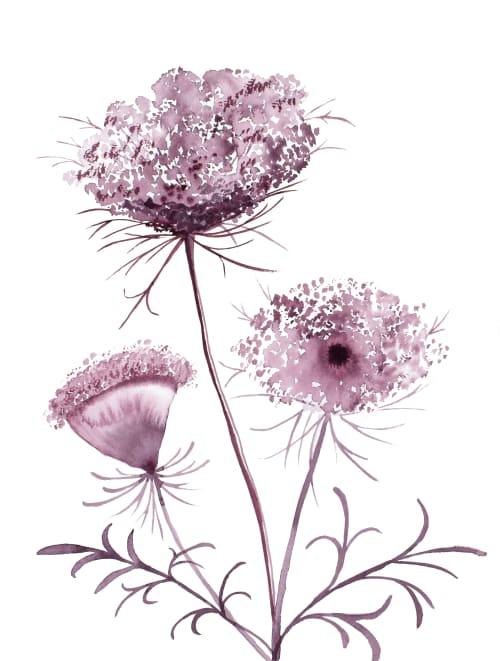 Queen Anne's Lace No. 19 : Original Watercolor Painting | Paintings by Elizabeth Becker. Item composed of paper compatible with boho and minimalism style