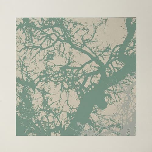 OutGrow #8 | Prints by Phillip Hua. Item composed of paper