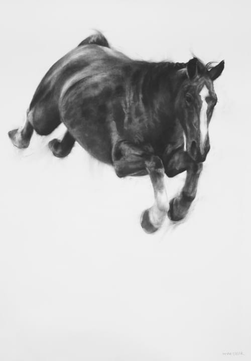Freefall by Patsy McArthur | Wescover Paintings