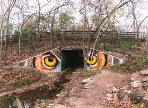 The eyes of an owl | Street Murals by Anat Ronen | Houston Arboretum & Nature Center in Houston