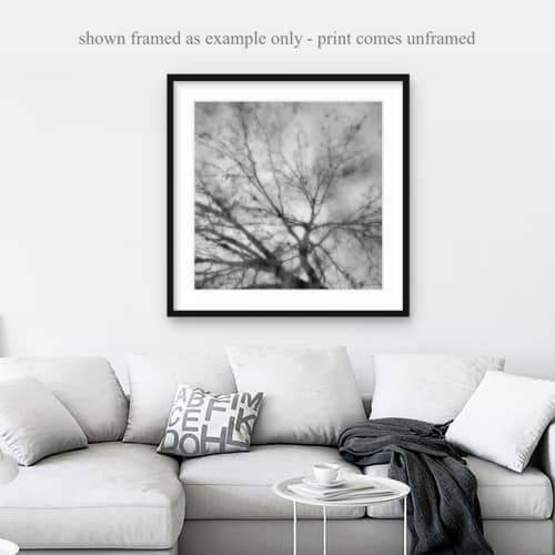 Reflecting Tree, Abstract black and white nature photography | Photography by Nicholas Bell Photography. Item made of paper works with contemporary & japandi style