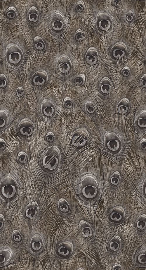 Metallic Peacock by FliePaper Wescover Wallpaper