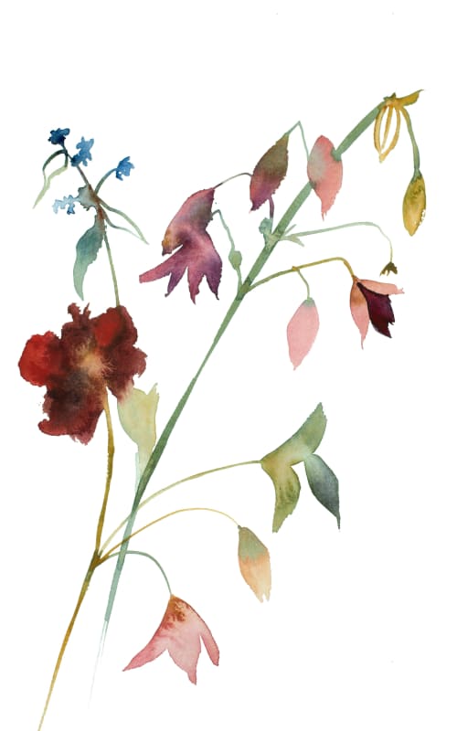 Floral No. 1 : Original Watercolor Painting | Paintings by Elizabeth Becker. Item made of paper works with minimalism & contemporary style