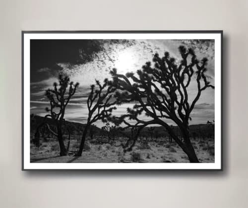 Joshua Tree No. 5 (Ltd Edition) | Photography by Daylight Dreams Editions. Item made of paper works with boho & contemporary style