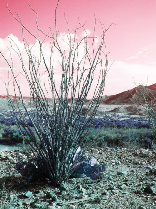 Crush of Blush | Photography by Sabine Senft. Item made of aluminum compatible with boho and contemporary style