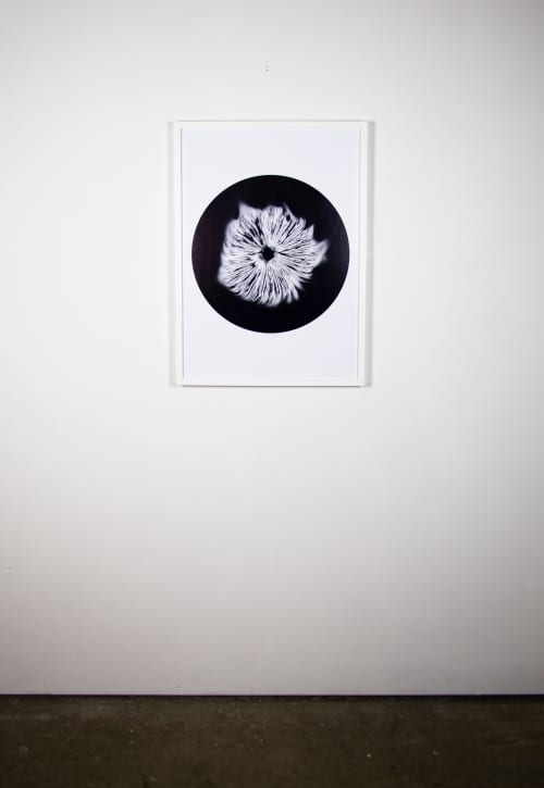 Agaricales Series | Prints by Virginia Kistler. Item composed of paper