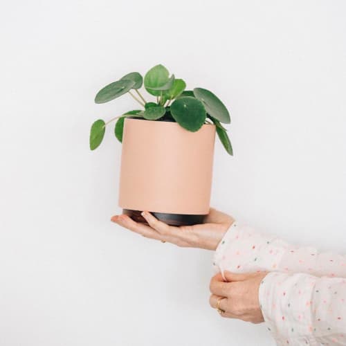 Ceramic Cylinder Planter | Vases & Vessels by LBE Design | Paiko in Honolulu. Item made of ceramic