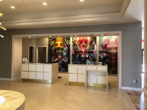 Submerged Garden Series | Photography by Andrea Bonfils | Hilton Ocala in Ocala. Item composed of paper