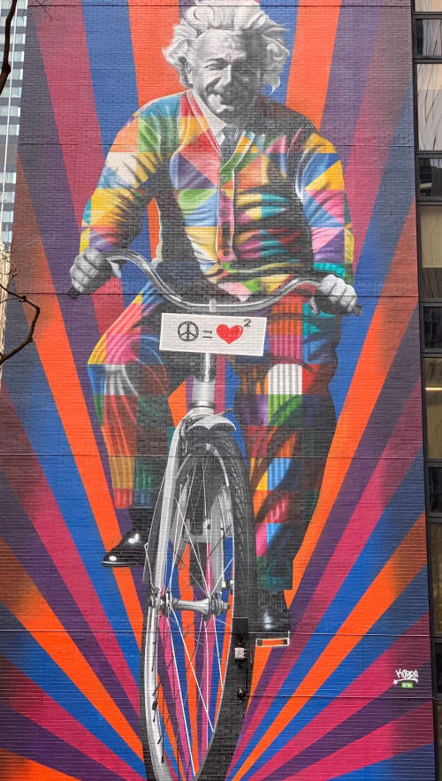 einstein on bicycle