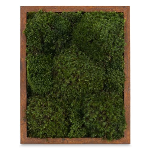 100% Live Moss Wall Art in Brown | Living Wall in Plants & Landscape by Moss Pure. Item composed of wood compatible with contemporary and industrial style