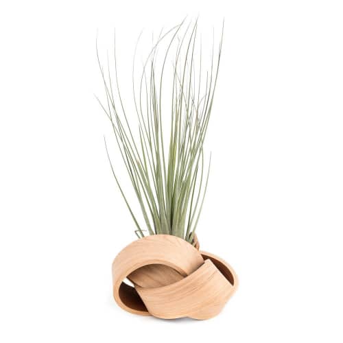The Lotus | Planter in Vases & Vessels by Art of Plants and Elliptic Designs | Bay Area Made x Wescover 2019 Design Showcase in Alameda. Item made of wood