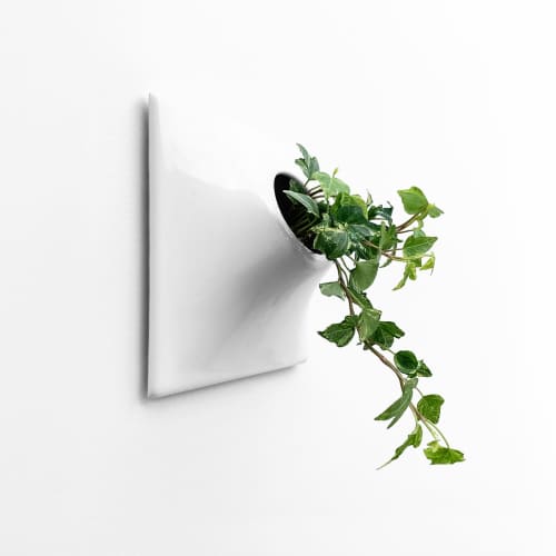 Node S Wall Planter, 6" Mid Century Modern Planter, White | Plant Hanger in Plants & Landscape by Pandemic Design Studio. Item made of stoneware works with minimalism & mid century modern style