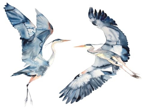 Herons in Flight : Original Watercolor Painting | Paintings by Elizabeth Becker. Item composed of paper compatible with boho and minimalism style