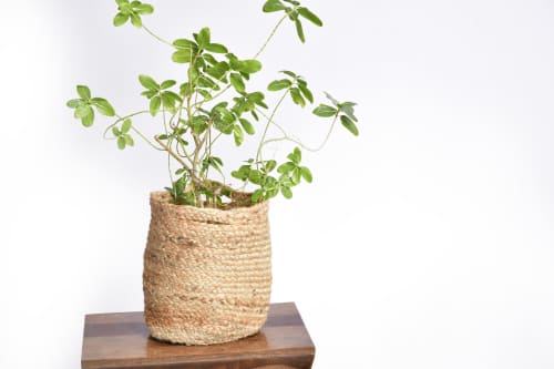 Handwoven Organic Jute Round Planters- Plant Pot (Set of 4) | Vases & Vessels by Humanity Centred Designs. Item composed of bamboo & fiber compatible with boho and minimalism style
