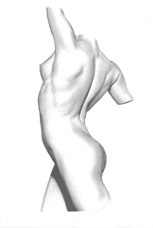 Academic Study Of Female Torso 5 | Prints by Eleanor Cardozo. Item composed of paper