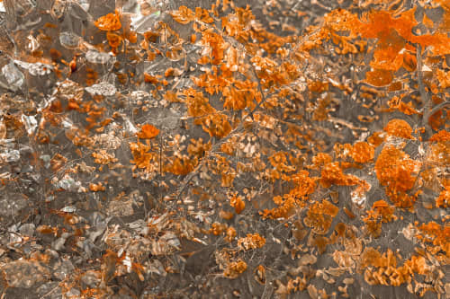 CITRINE (18"x12" — 60"x40") | Wall Art | Fine Art Print | Digital Art in Art & Wall Decor by Jess Ansik. Item made of metal with paper works with transitional style