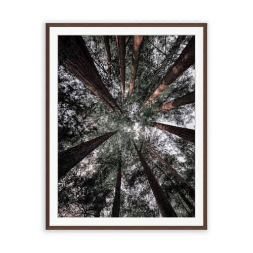 WHEN WE WERE YOUNG (9"x12" - 36"x48") | Fine Art Print | Photography by Jess Ansik. Item composed of paper in contemporary or country & farmhouse style