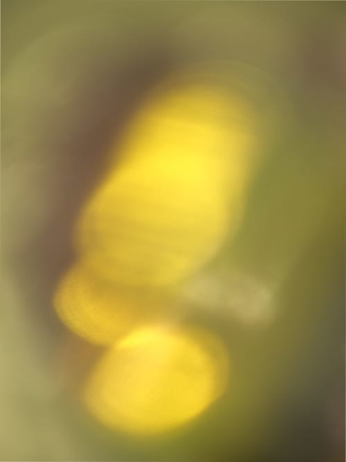 Ephemeral Glow 1054A | Prints in Paintings by Petra Trimmel. Item composed of canvas & metal