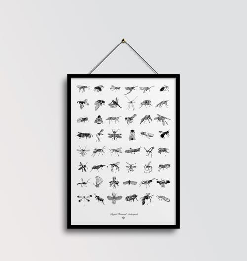 Terrestrial Arthropods | Prints by Chrysa Koukoura. Item made of paper compatible with traditional style
