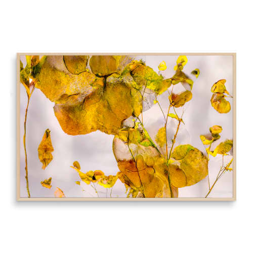 CANARY (18"x12" — 72"x48") | Surreal Gardens | Wall Art | Digital Art in Art & Wall Decor by Jess Ansik. Item in boho or eclectic & maximalism style