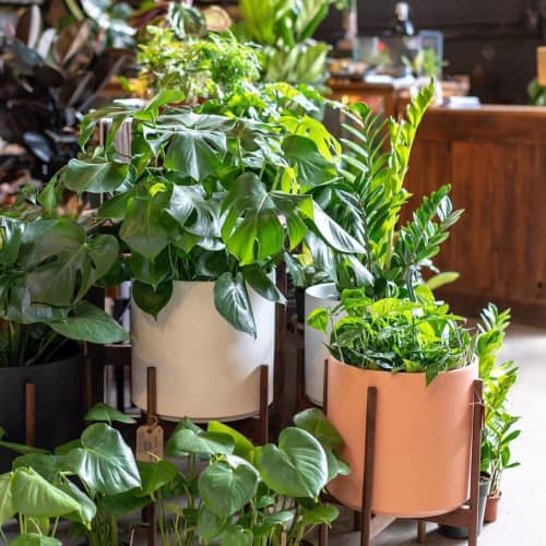 Revival Ceramics Planters | Vases & Vessels by LBE Design | ReRoot in Denver. Item composed of ceramic