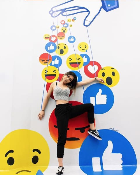 Facebook Manipulation Mural | Murals by Lindsey Millikan | Museum of Illusions in Los Angeles. Item made of synthetic