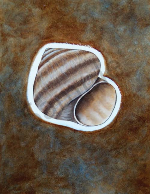 Seashell 2 | Prints by LaShonda Scott Robinson. Item made of wood & canvas compatible with contemporary and traditional style