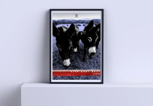 Donkeys-B2 | Prints by Yole Design Studio. Item composed of paper in contemporary or modern style