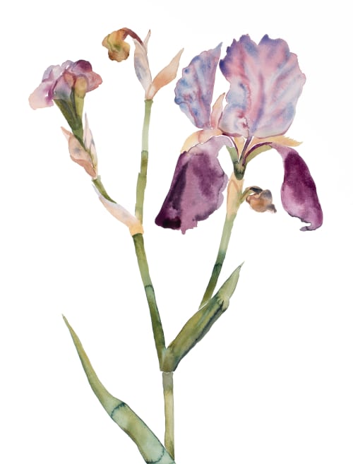 Iris No. 197 : Original Watercolor Painting | Paintings by Elizabeth Beckerlily bouquet. Item made of paper works with boho & minimalism style