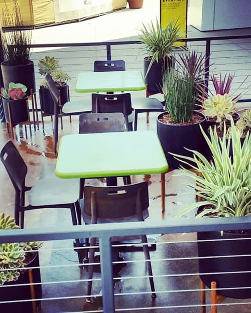 Tender Greens patio by Botanika Interior Plantscapes at Tender Greens