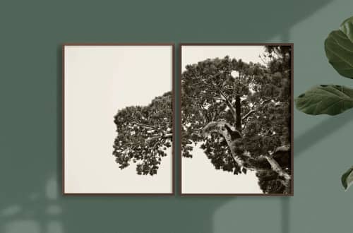 Kings Canyon | Photography by Renee Torres. Item composed of paper