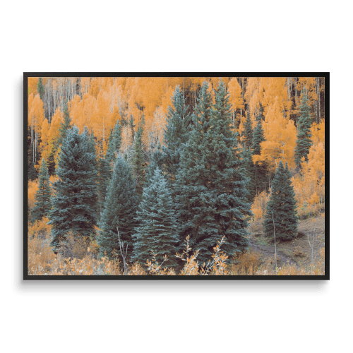 SHIFT CHANGE︱Telluride, CO︱Fine Art Print | Photography by Jess Ansik. Item made of paper works with country & farmhouse & rustic style