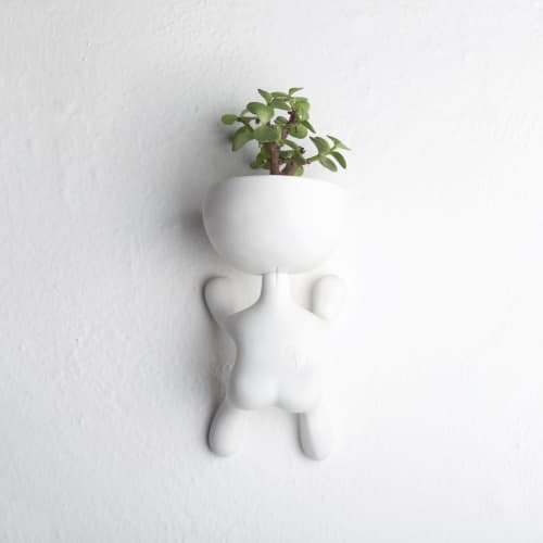 Create a Plant Wall with These Unique Designs