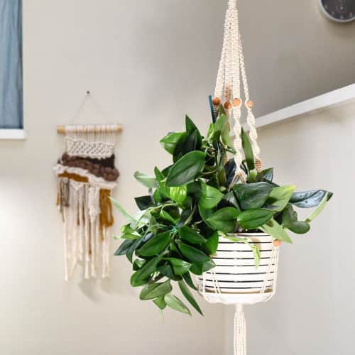 Macrame Plant Hanger Designs for Your Home