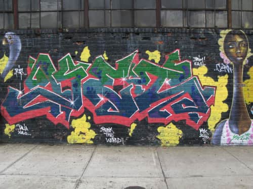 Zephyr Graffiti - Street Murals and Public Art