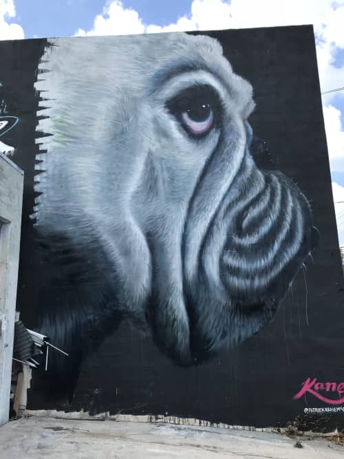 Patrick Kane McGregor - Art and Street Murals