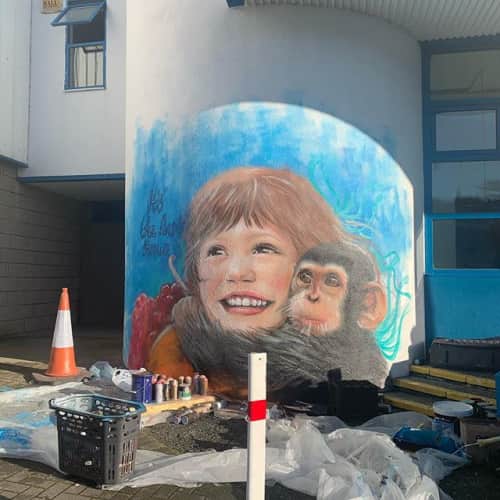 Caoilfhionn Hanton - Murals and Street Murals