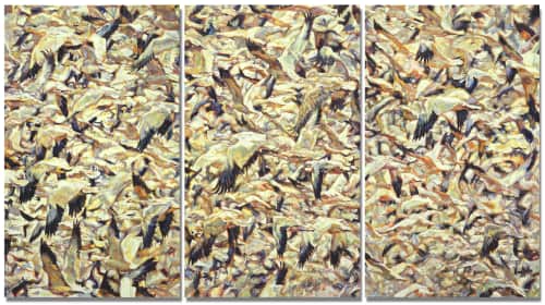 Patricia A Griffin - Paintings and Art